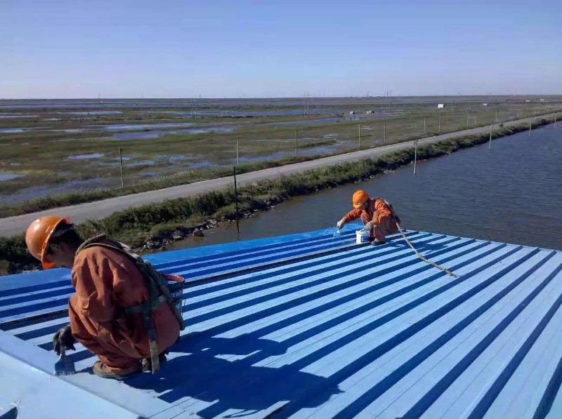 柘城钢结构屋面漏水原因